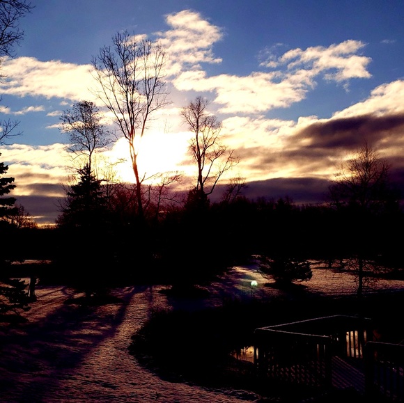 Meet your Posher, Jeanette - Picture 1 of 1